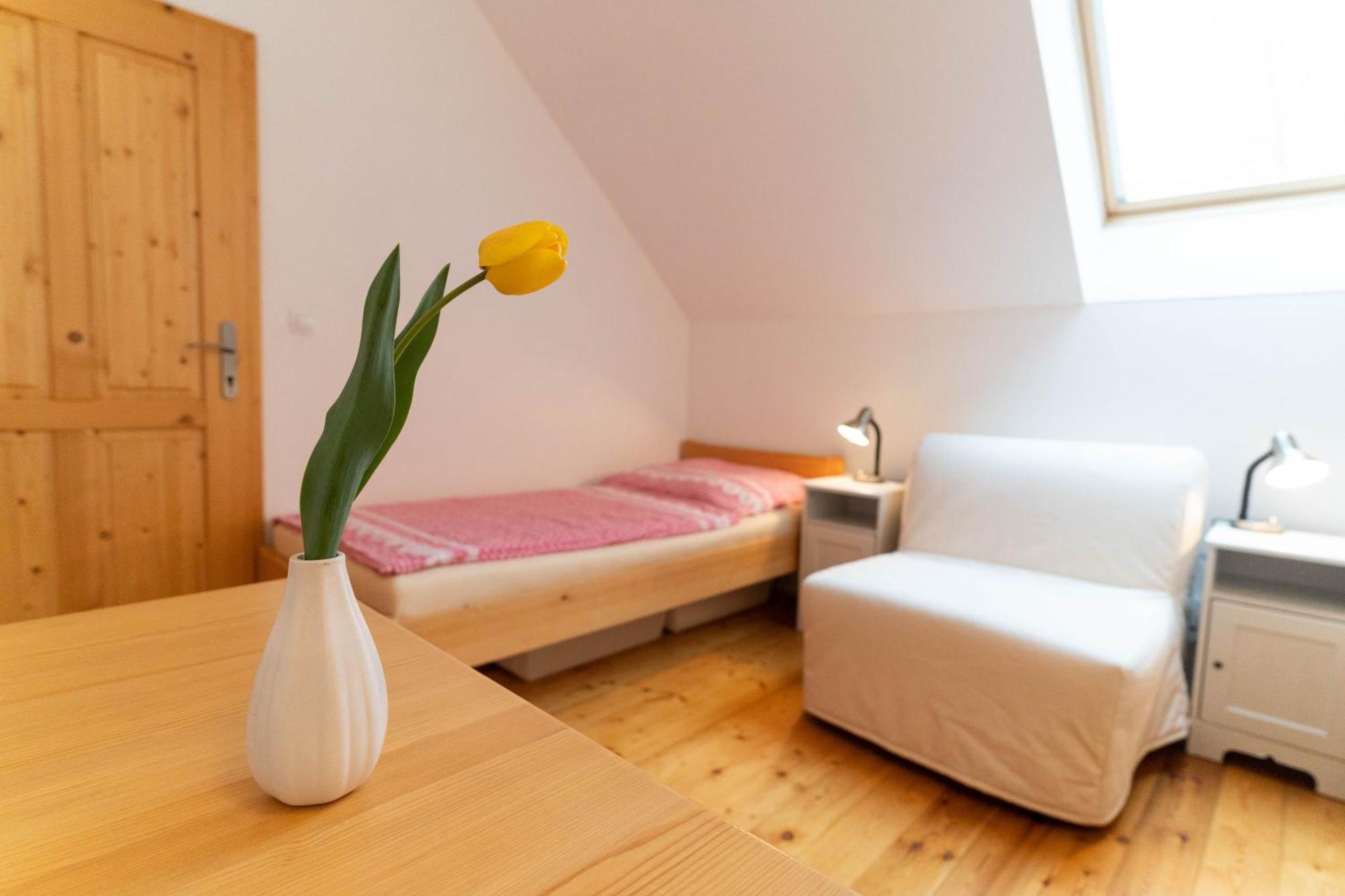 Penzion U Hajovny U Piskoven - Vlkov 部屋 写真